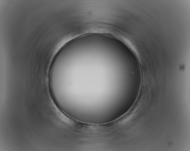 X0000092240803200709281123