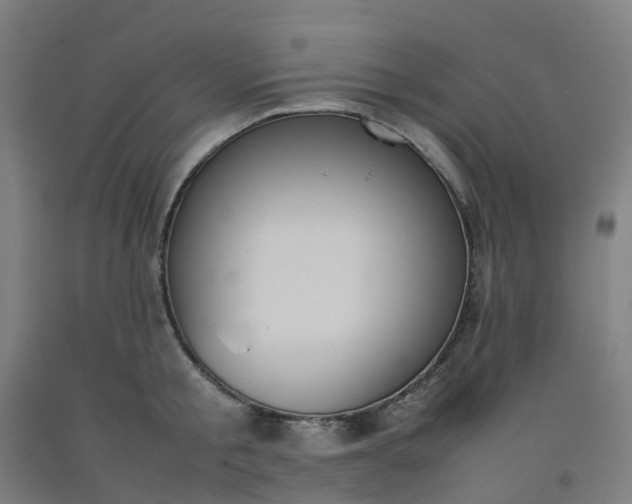 X0000092240805200709281123