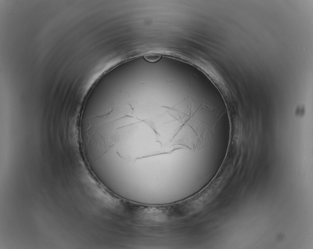 X0000092240806200709281123