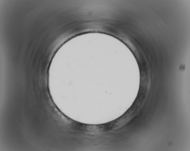 X0000092240807200709281123