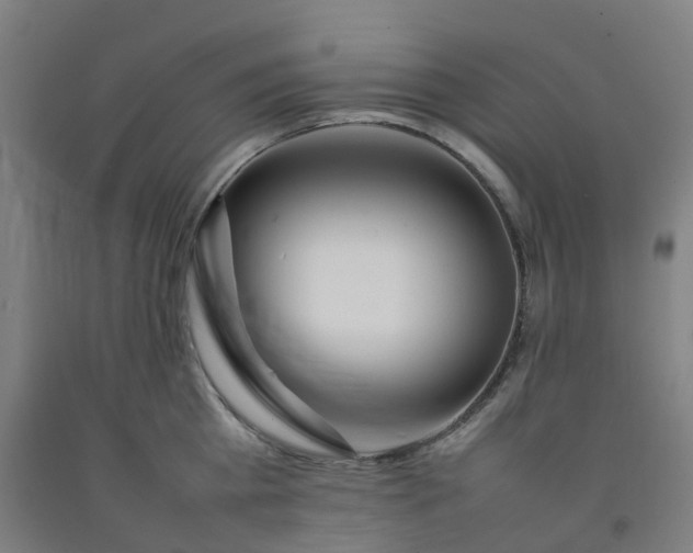 X0000092240809200709281123