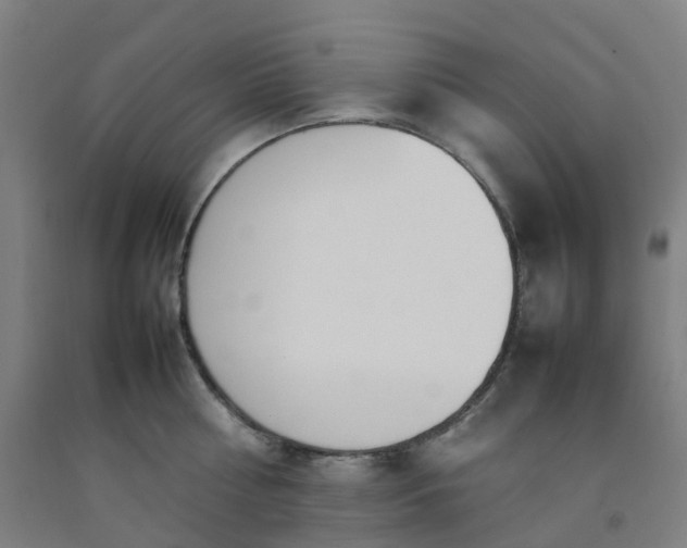 X0000092240810200709281123