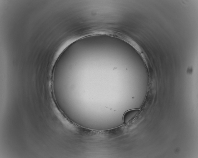 X0000092240811200709281123