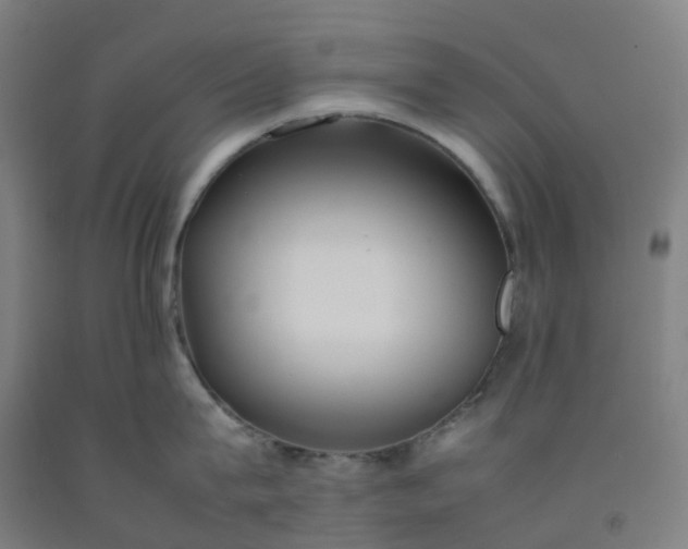 X0000092240815200709281123