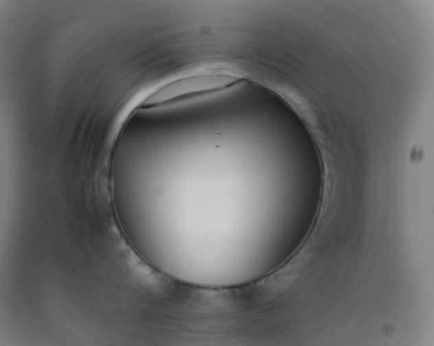 X0000092240816200709281123