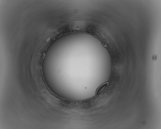 X0000092240817200709281122