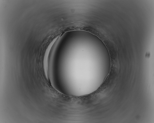 X0000092240818200709281122