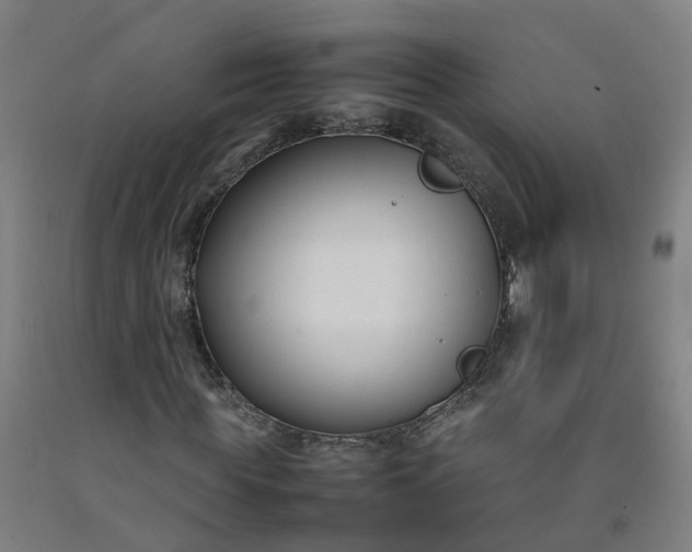 X0000092240819200709281122