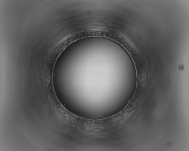 X0000092240821200709281122