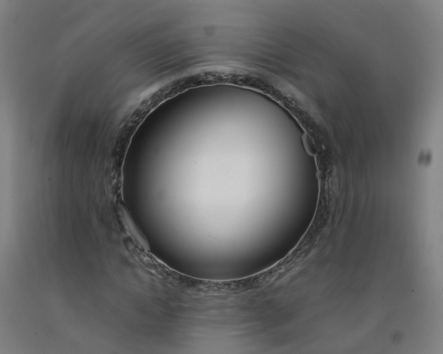 X0000092240822200709281122