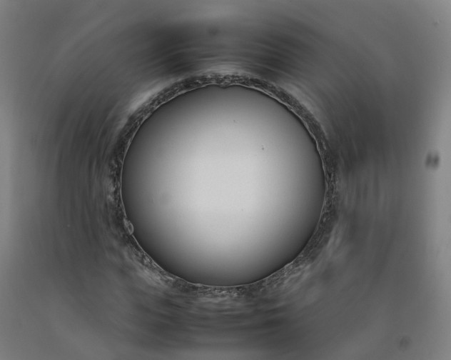 X0000092240823200709281122