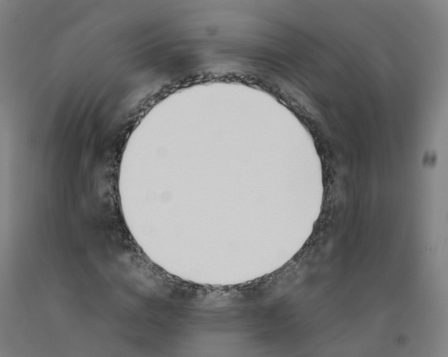 X0000092240824200709281122