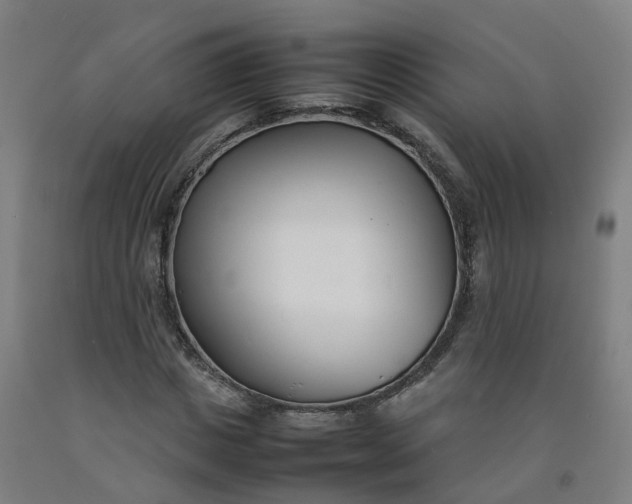 X0000092240825200709281122