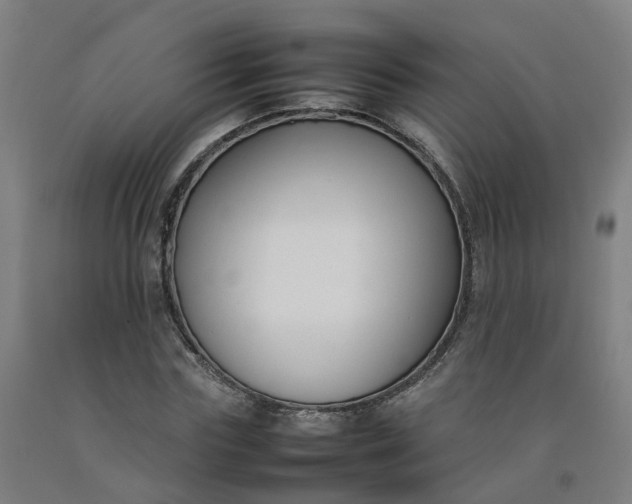 X0000092240827200709281122