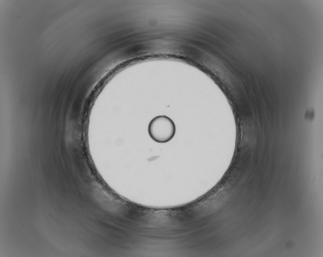 X0000092240828200709281122