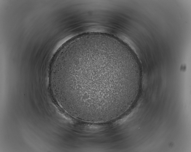 X0000092240829200709281122