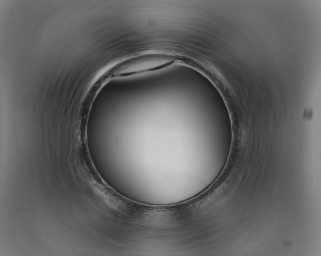 X0000092240830200709281122