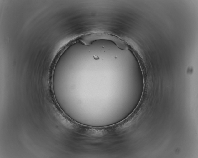 X0000092240831200709281122