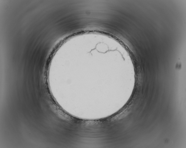 X0000092240832200709281122