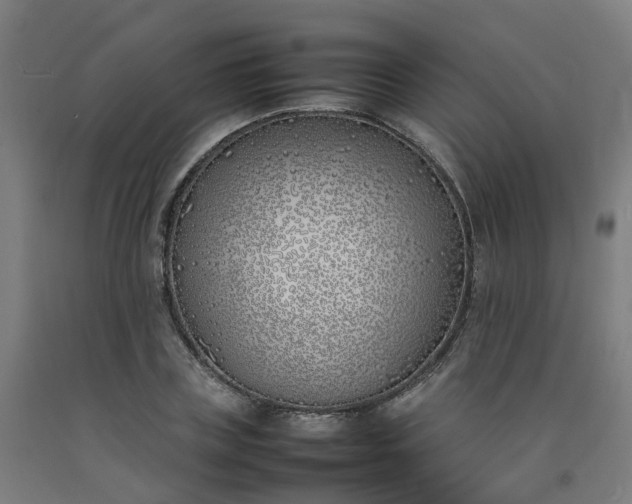 X0000092240835200709281122