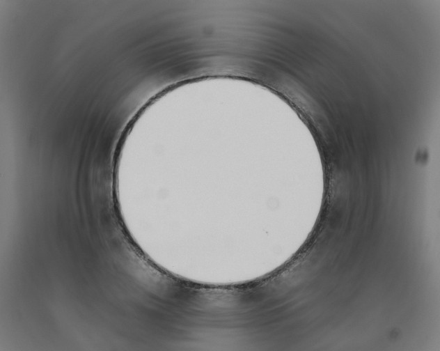 X0000092240836200709281122