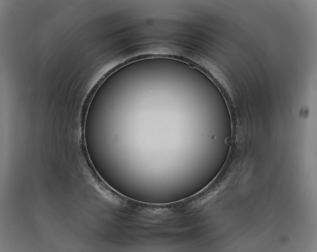 X0000092240837200709281122