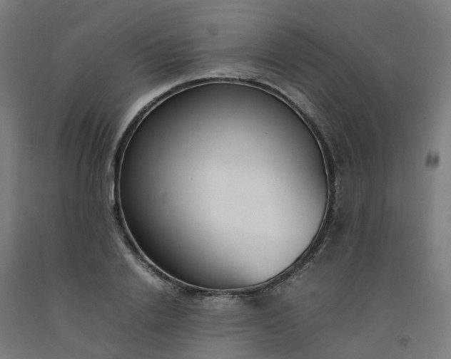 X0000092240838200709281122