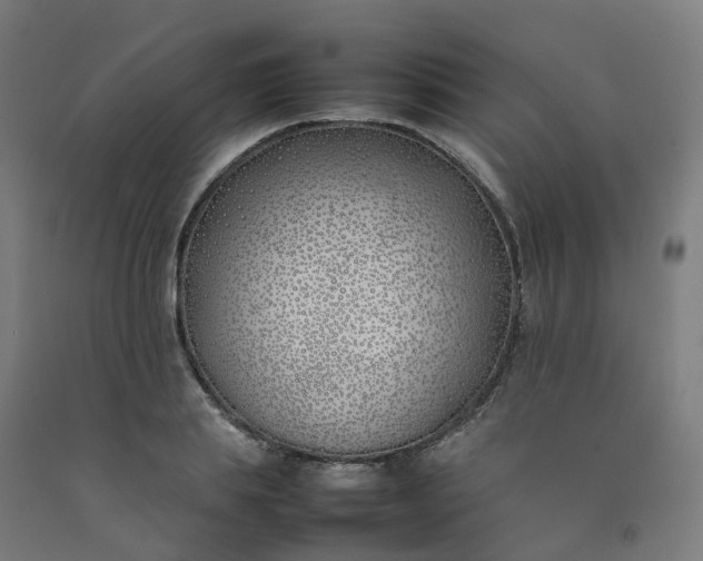 X0000092240839200709281122