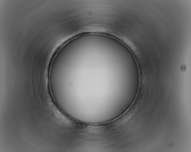 X0000092240840200709281122