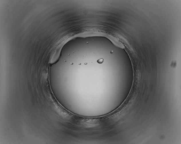 X0000092240841200709281122