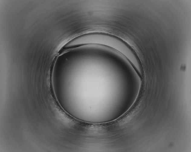 X0000092240842200709281123