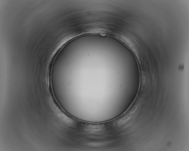 X0000092240843200709281123