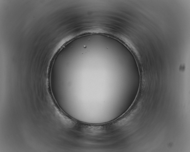 X0000092240845200709281123