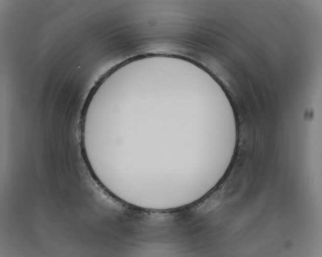 X0000092240848200709281123