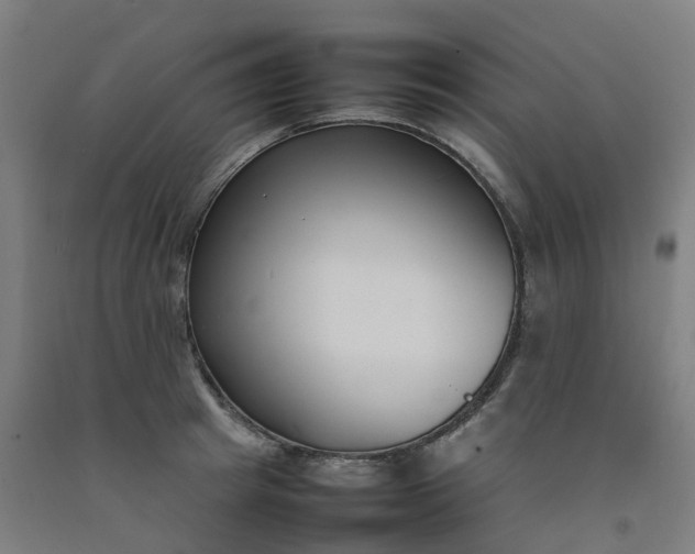 X0000092240849200709281123