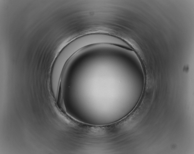 X0000092240850200709281123