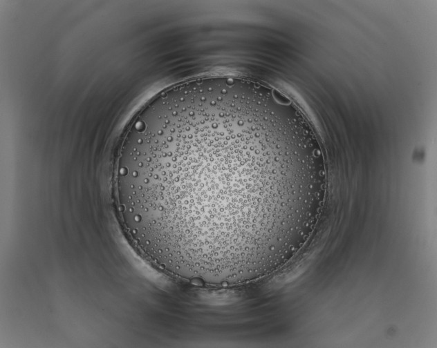 X0000092240851200709281123