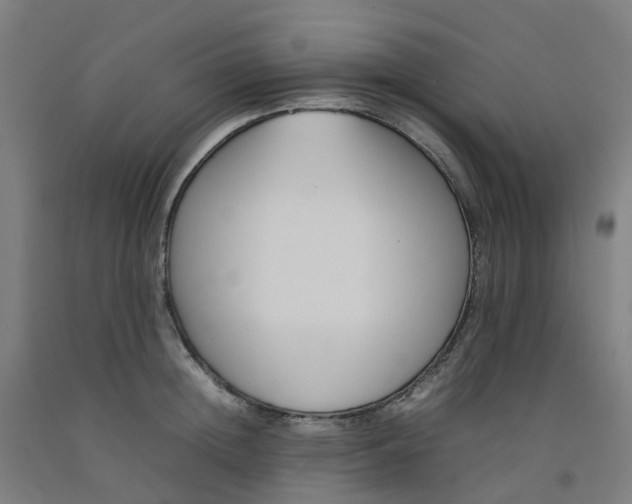 X0000092240852200709281123