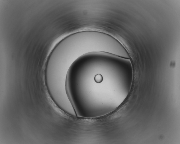 X0000092240854200709281123