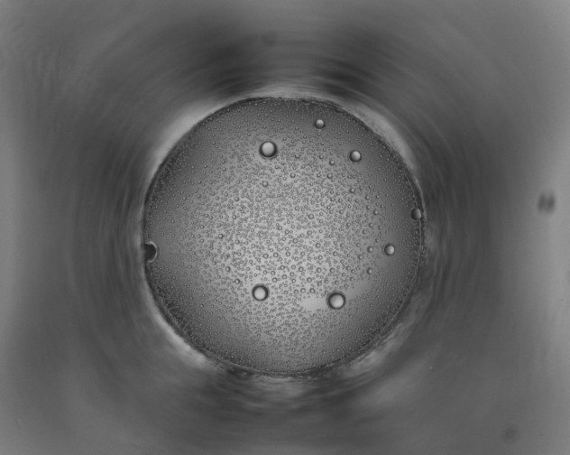 X0000092240855200709281123