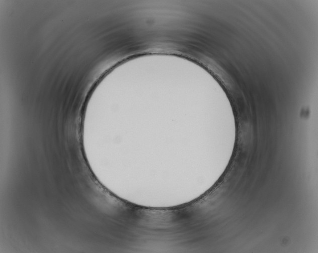 X0000092240856200709281123