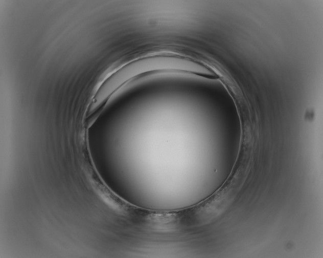 X0000092240858200709281123