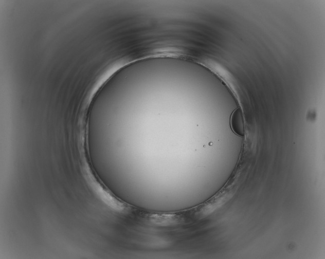 X0000092240859200709281123