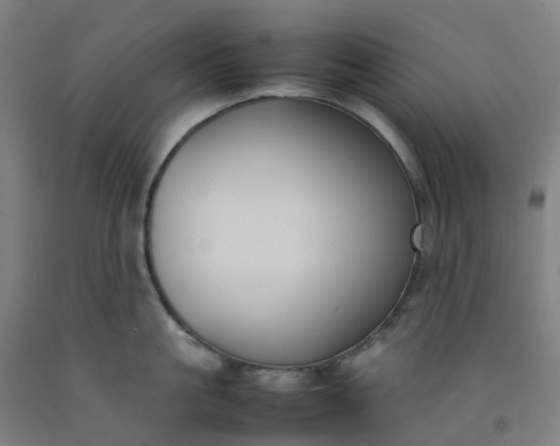 X0000092240861200709281123