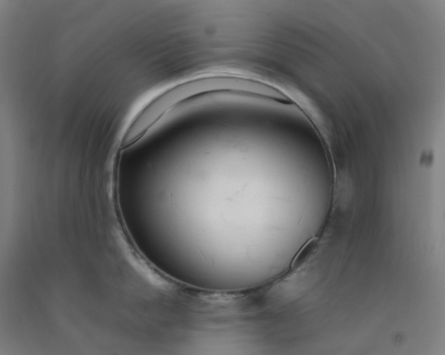 X0000092240862200709281123