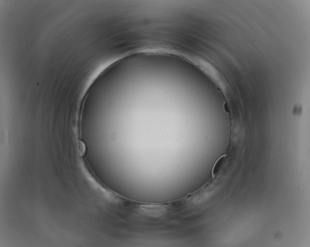 X0000092240863200709281123