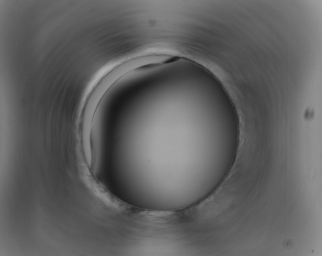 X0000092240864200709281123