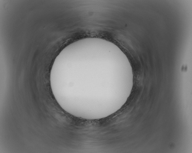 X0000092240865200709281122