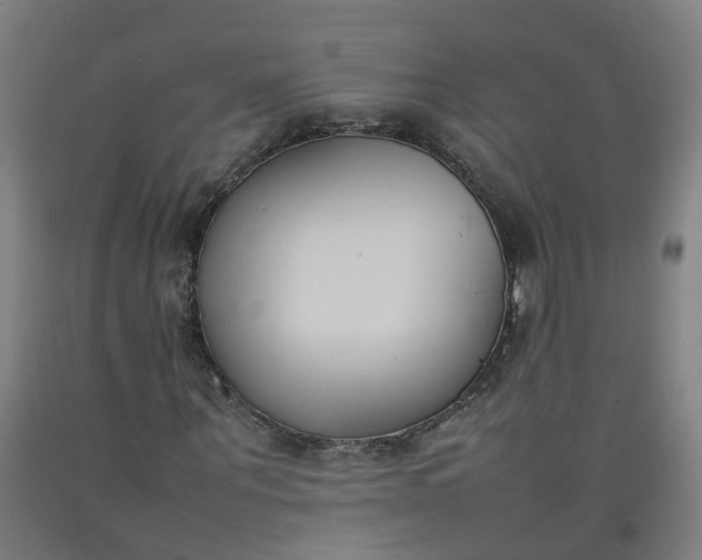 X0000092240867200709281122