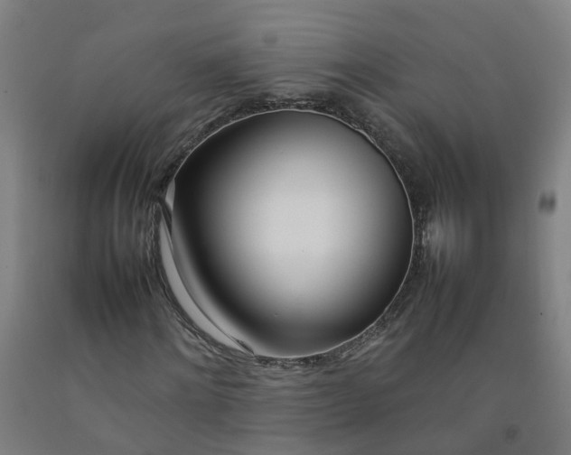 X0000092240868200709281122